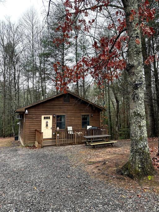 Private Cozy Cabin In The Woods With Great View 머피 외부 사진