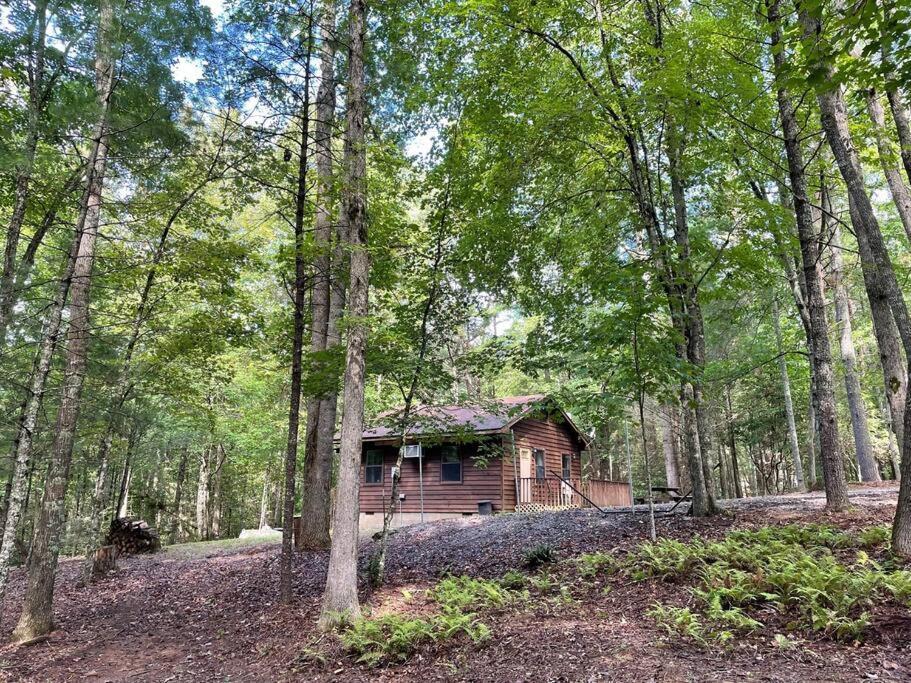 Private Cozy Cabin In The Woods With Great View 머피 외부 사진
